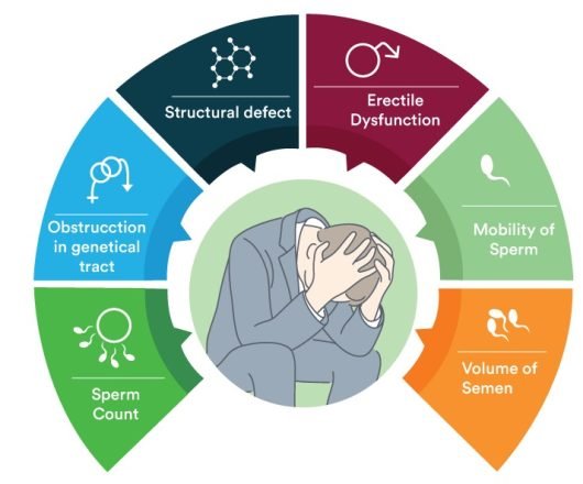 Javitri Best IVF Center - male infertility